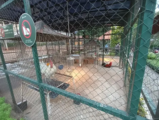 Bubs Club - Lebak Bulus (Jakarta Selatan)